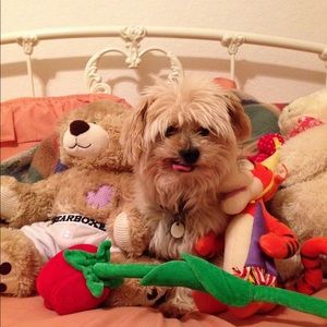 Meet your Posher, Paula